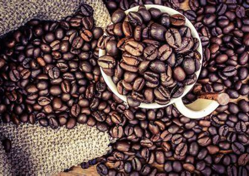 Промените в климата на Земята ще доведат до изчезването на кафето