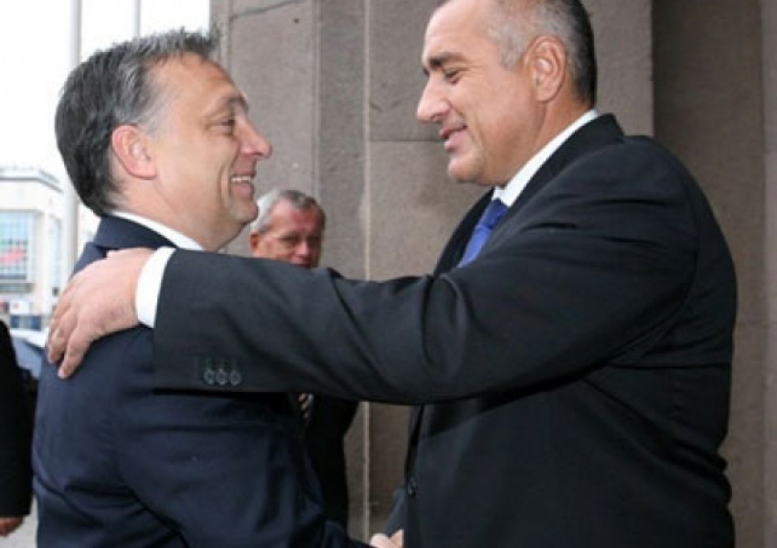 Борисов към Орбан: Само да не объркаме знамената!