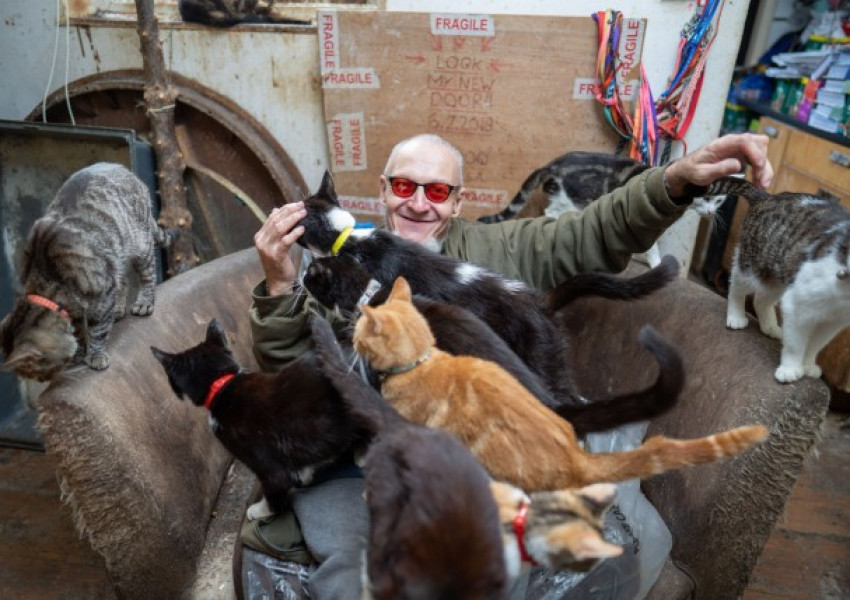 Съседи протестиращ срещу мъж живеещ с над 70 котки