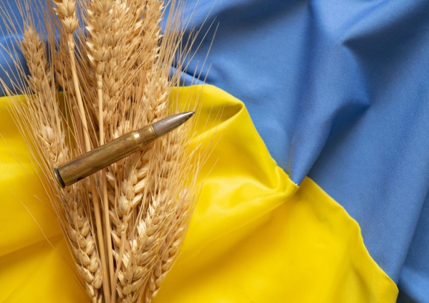 Украйна не е съгласна да изнася зърното си през територията на Беларус, който е съюзник на Русия
