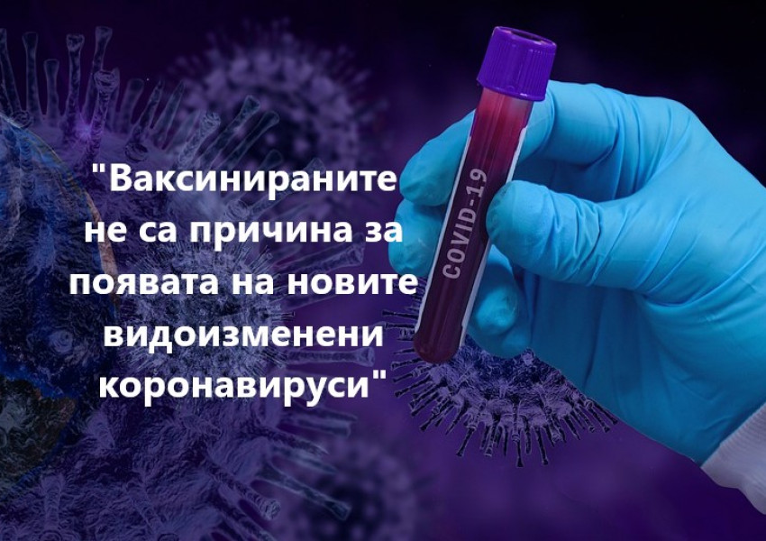 Ваксинираните не са причина за появата на новите видоизменени коронавируси