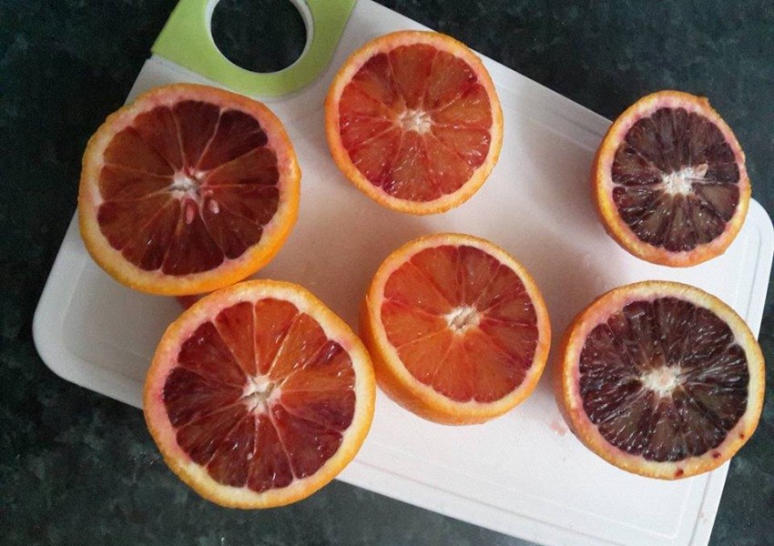 Читател на „Новини Лондон“ алармира: „Лидъл“ продава портокали с инжектирана кръв (СНИМКА)