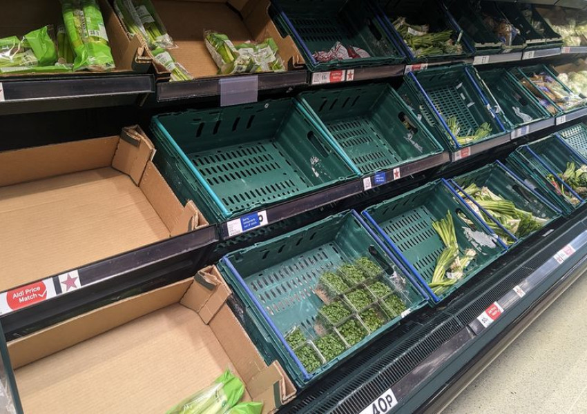 Продължава недостигът на пресни зеленчуци по рафтовете на британските супермаркети