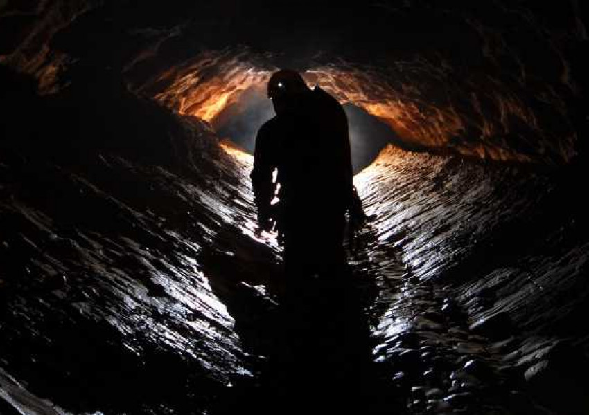 Откриха 30 неизвестни животински вида в пещери в Хърватия