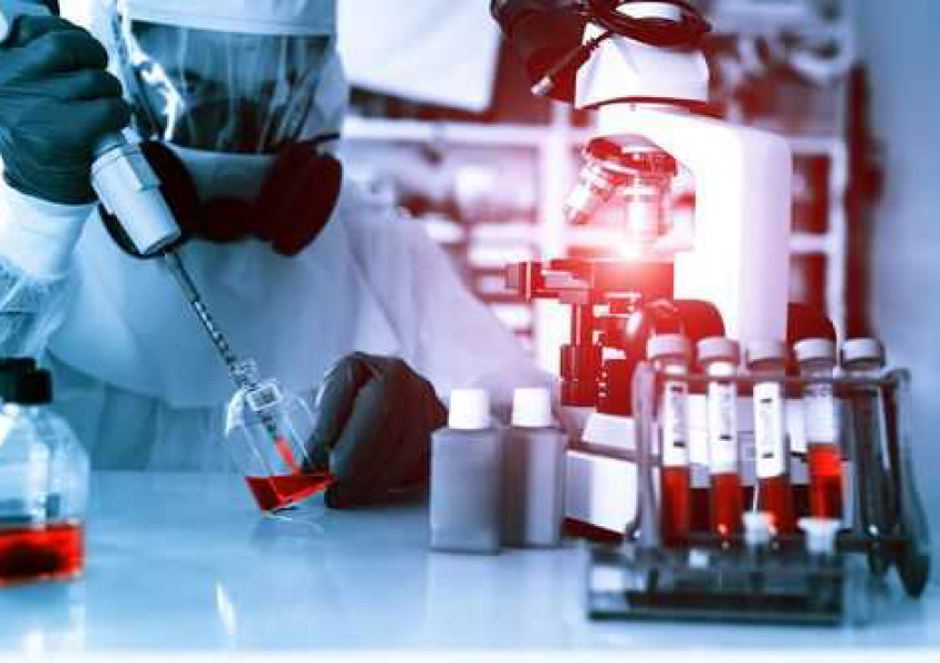 Епидемия от птичи грип във Франция