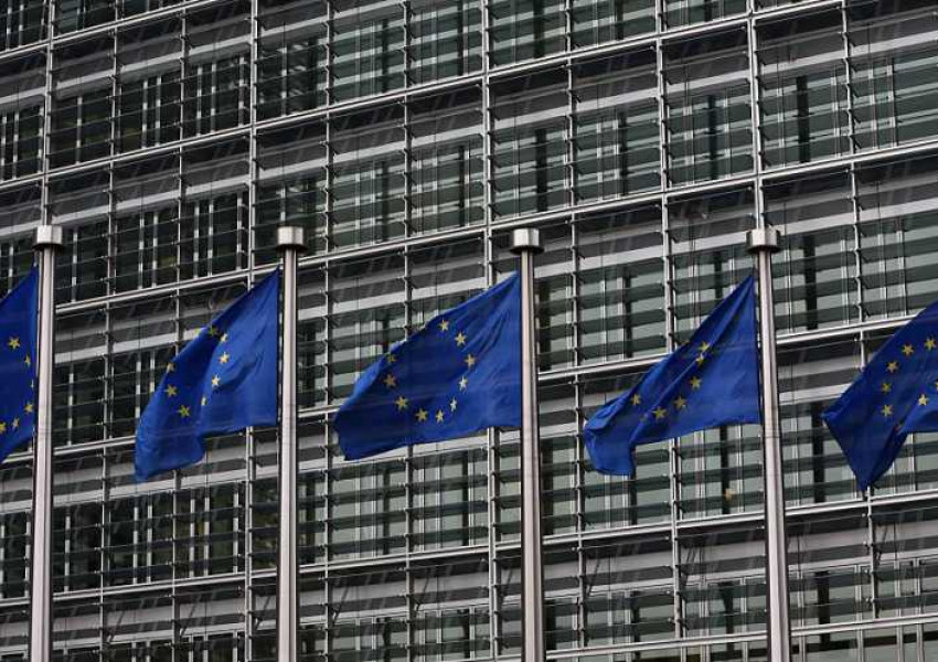 Мариана Коцева оглави Евростат