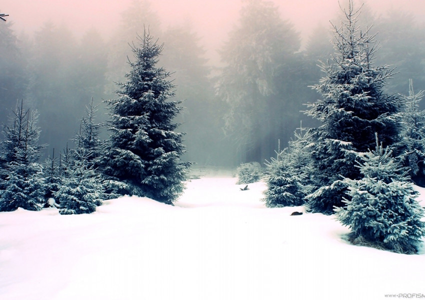 Страшен студ утре!