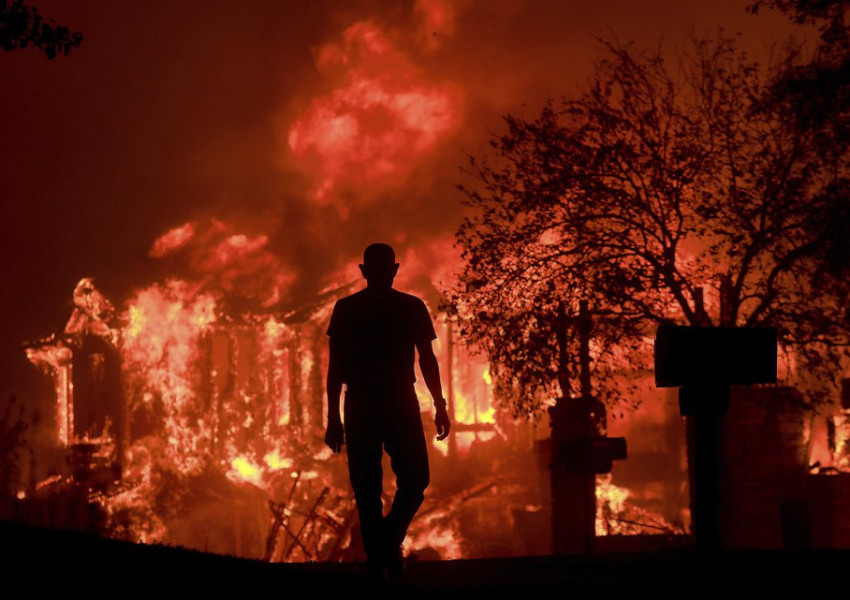 Най-малко 11 загинали при пожари в Калифорния