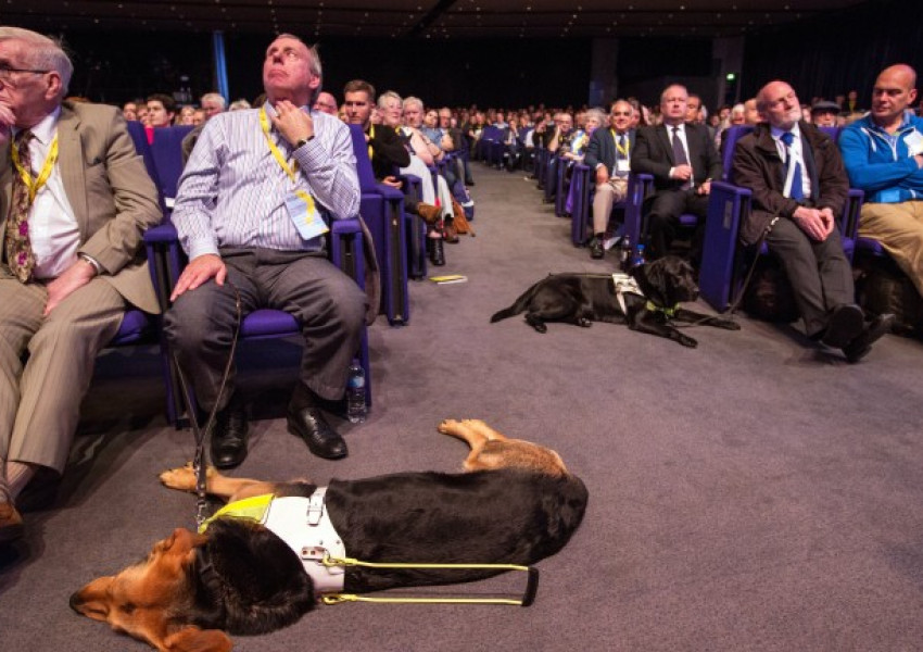 Шотландци поискаха спиране на парите за британската кралица