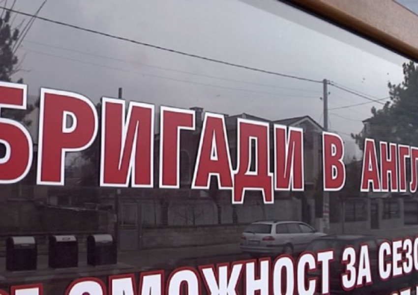 Отнемат лиценза на фирмата, изпратила нашенците да берат цветя на Острова