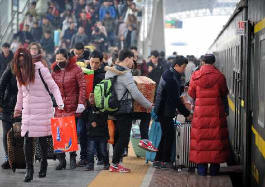 Ето я най-голямата годишна миграция на планетата