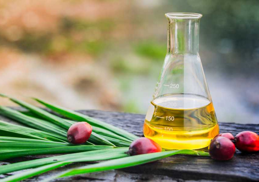 Британски супермаркети спират продажба на продуктите с палмово масло