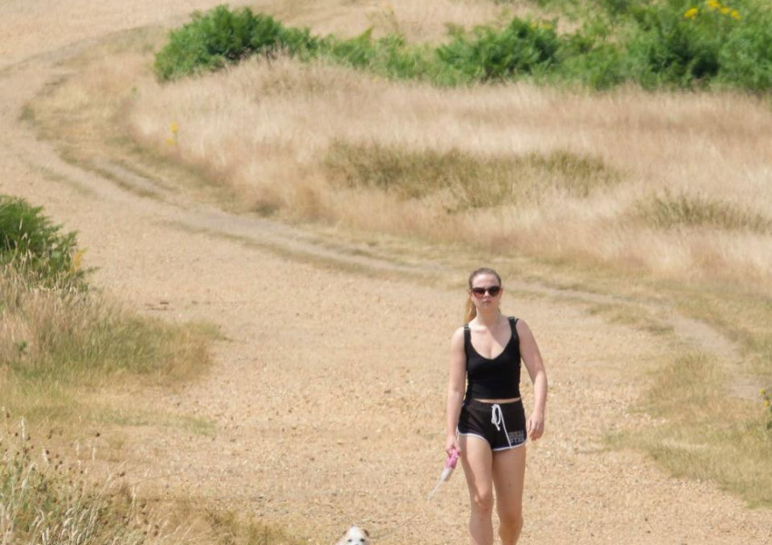 Това е най-продължителната гореща вълна от 40 години насам