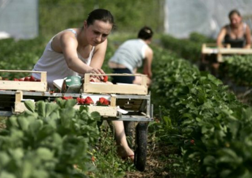 Важно за сезонните работници на Острова