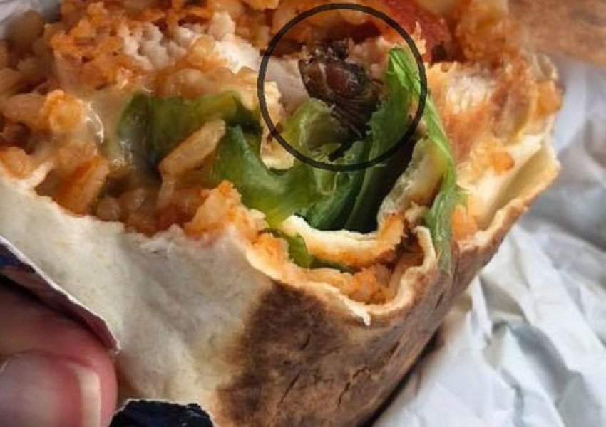 Отврат! Хлебарка в сандвич на KFC!