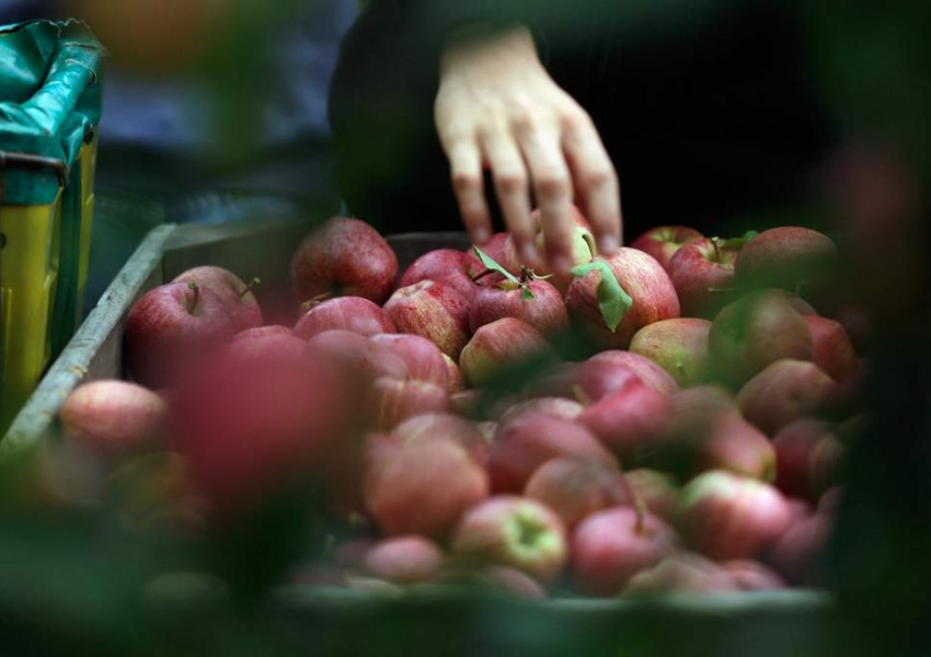 С колко ще скочи храната и алкохола при липса на сделка за „Брекзит“