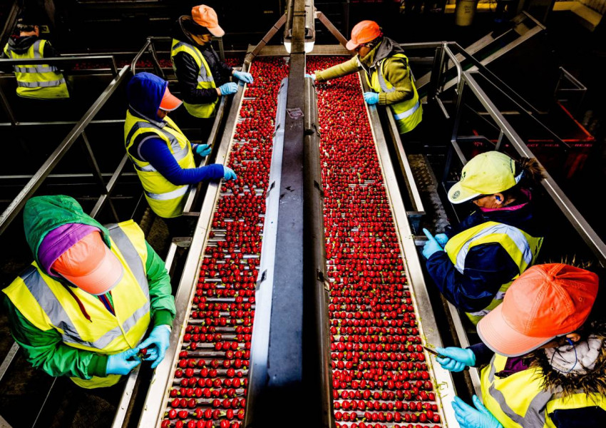 Храни с изпражнения, косми и насекоми ни очакват след „Брекзит“
