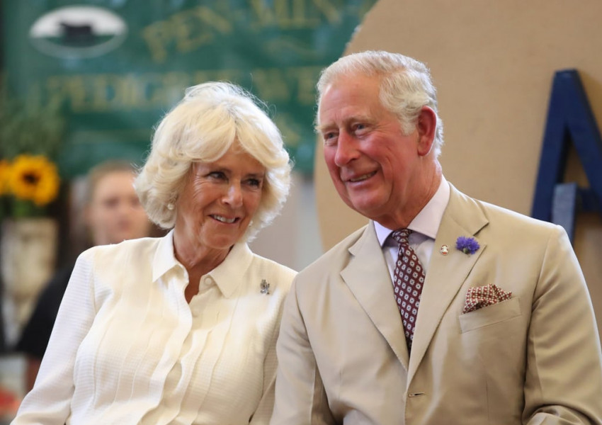 Принц Чарлз може да управлява едва 4 години след като наследи Кралицата