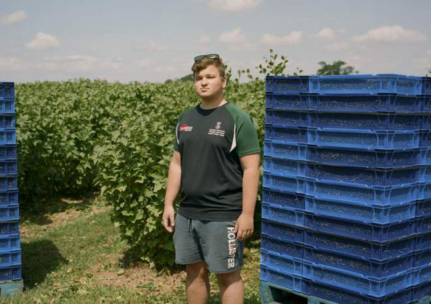 "Индипендънт": Кой ще бере плодовете след "Брекзит"?