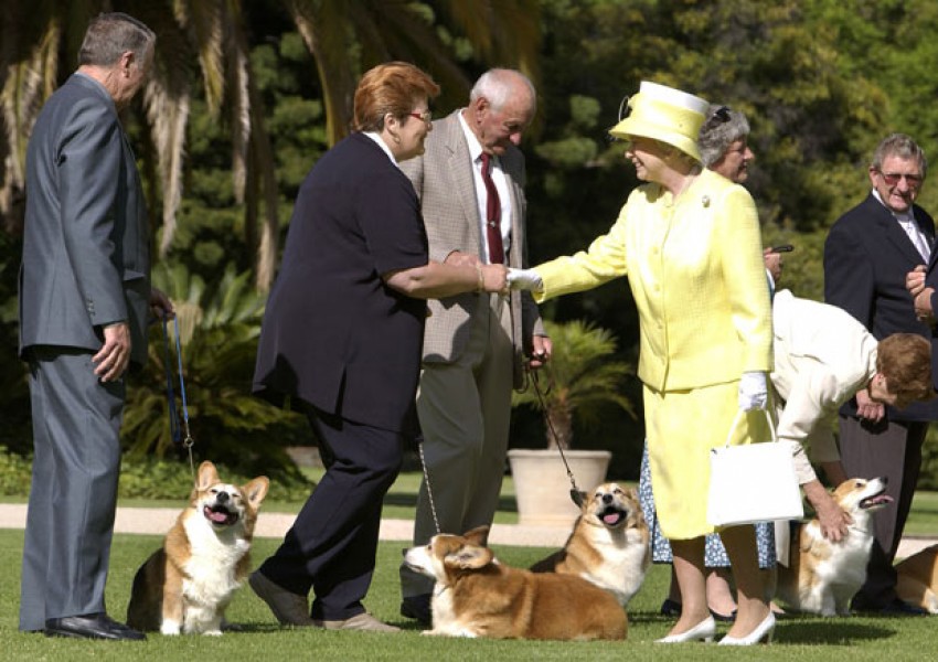 Ето как кралица Елизабет II се грижи за кучетата си