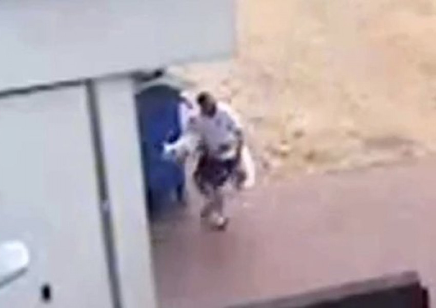 Мъж забрави кучетата си в колата, те се изпържиха до смърт (ВИДЕО 18 +)