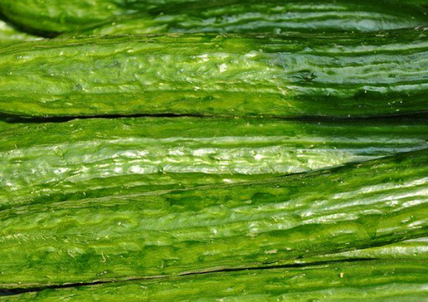 7 неща, които ни очакват ако похапваме краставици всеки ден