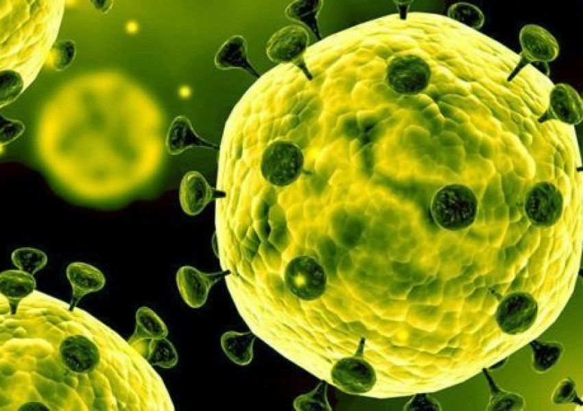 Двама българи в Сидни са имали контакт със заразен с коронавирус