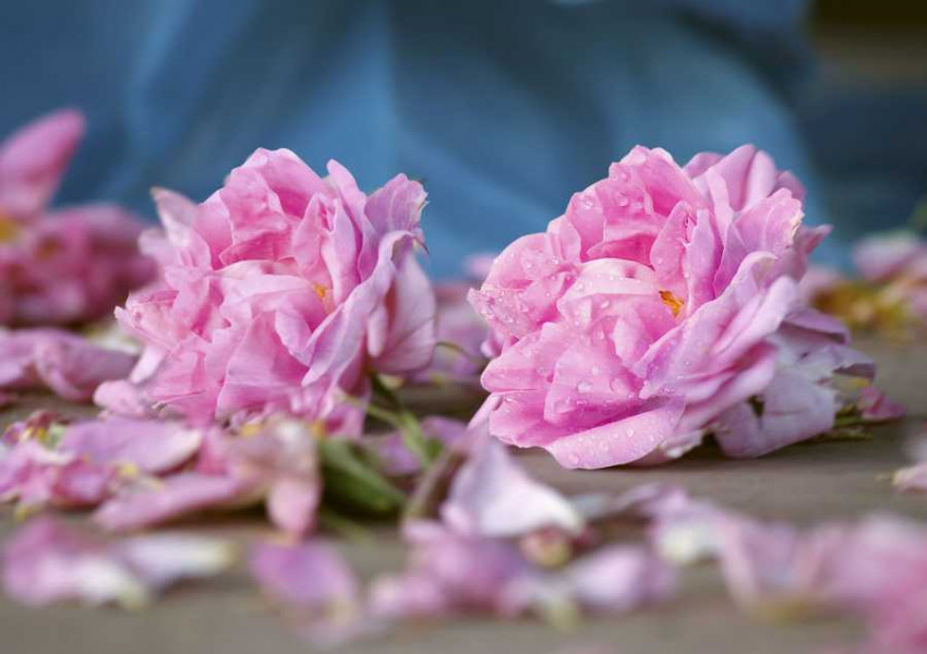 Китай забрани продуктите с българска роза