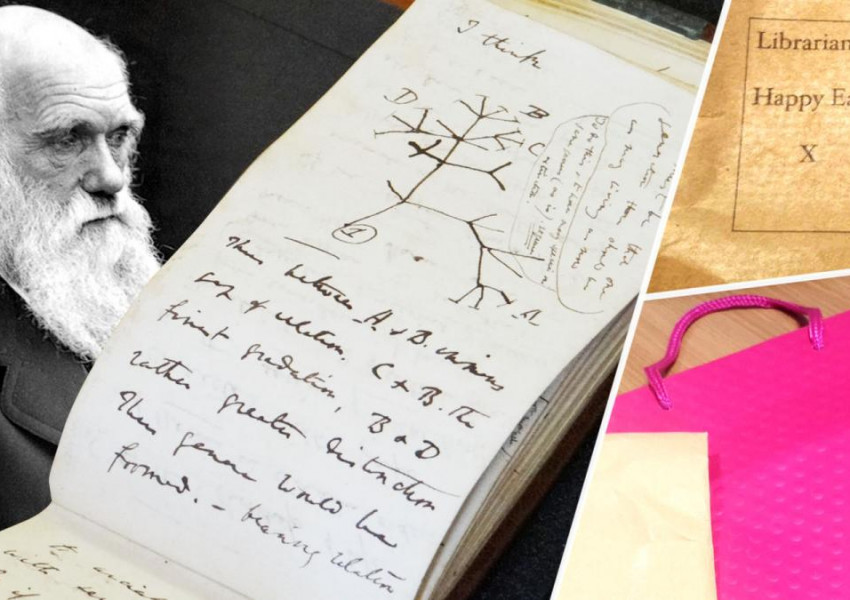 Откраднати дневници на Чарлз Дарвин се появиха мистериозно