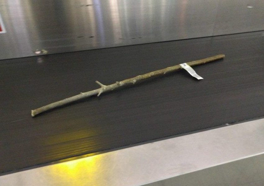 Това е най-странната вещ, която пътник е чекирал на английскo летище (СНИМКА)