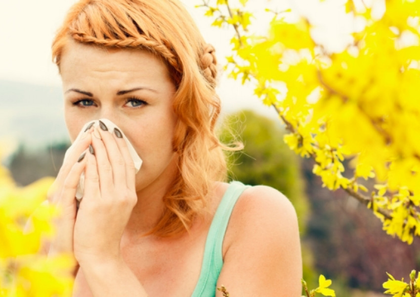 Различавате ли алергията от настинката?