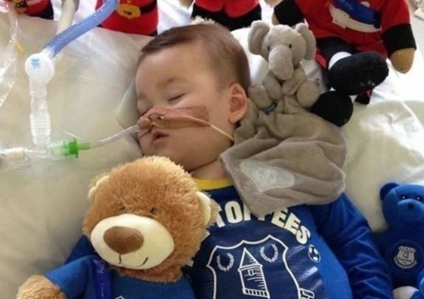 Италия дава шанс на тежко болния Алфи