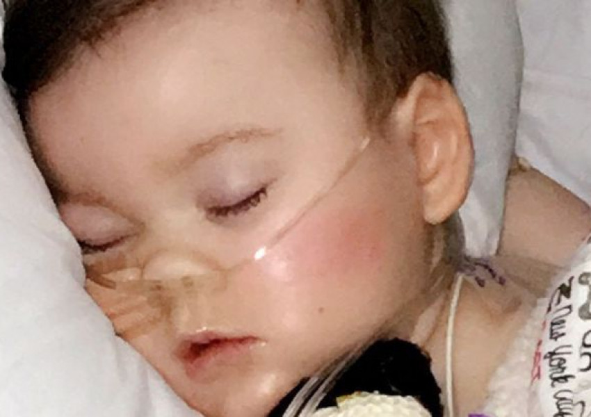 Родителите на малкия боец Алфи молят лекарите да го приберат у дома