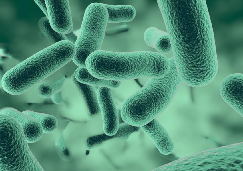 Хиляди бактерии "лазят" по кожата ни