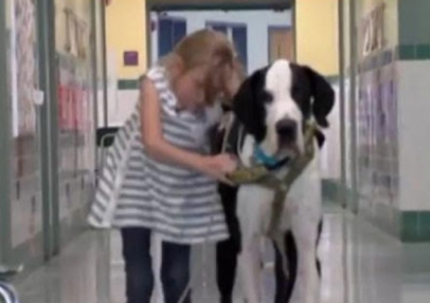 Умилително! Вижте как куче спаси живота на малко момиченце