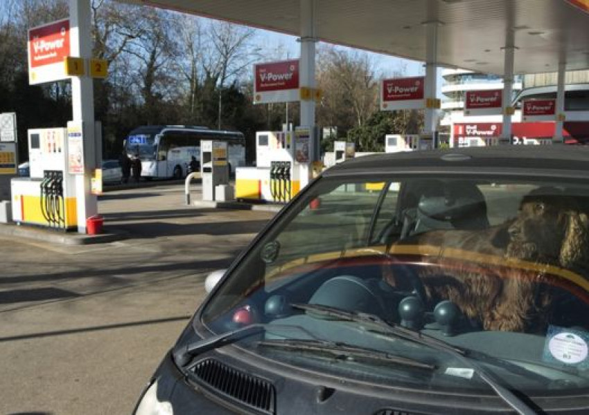 Рекордно поскъпване на горивата