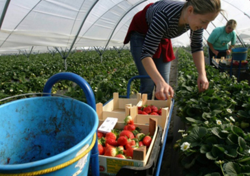 КНСБ: Експлоатират българи в чужбина!