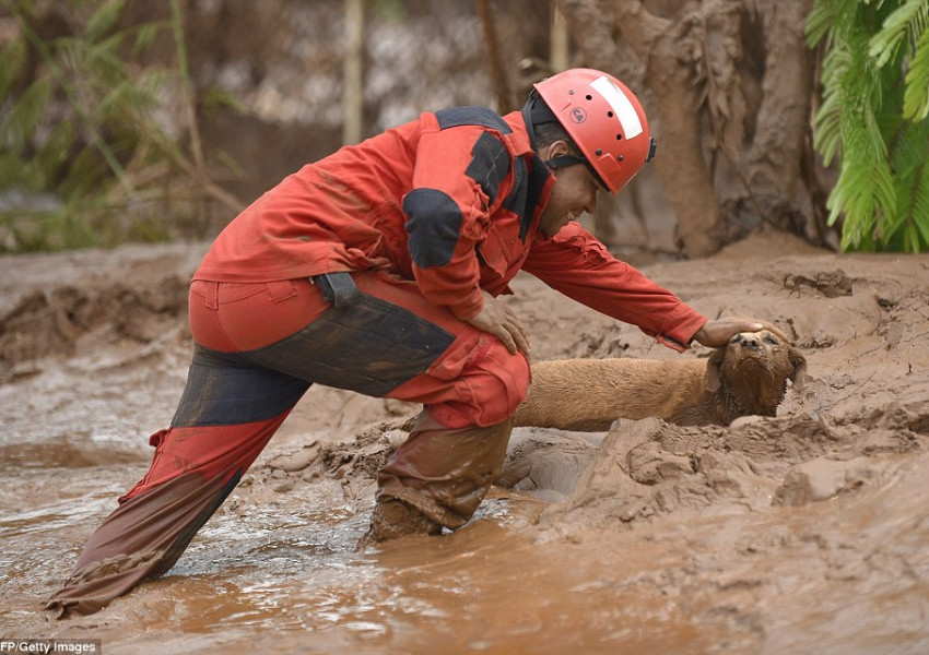 За пример! Куче бе спасено след 9 дни в капан (ВИДЕО)