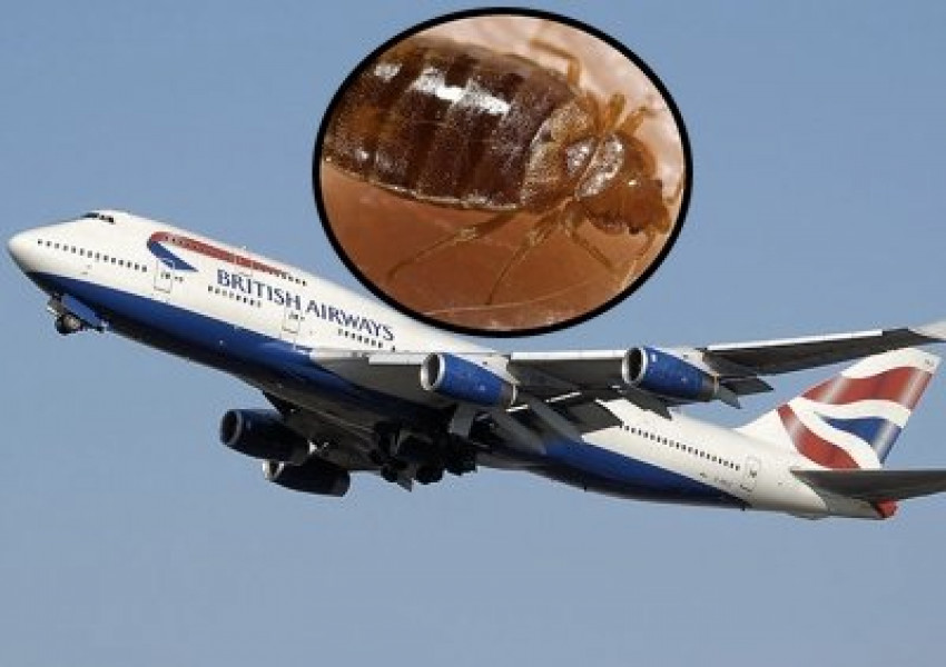 Пътници на British airways бяха нахапани от дървеници