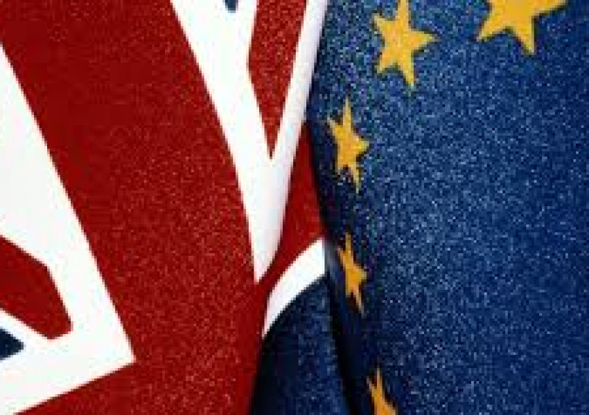 Британците трябва да запазят правата си на европейски граждани