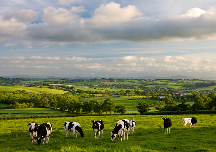 Земеделците във Великобритания призовават за нов референдум за Брекзит