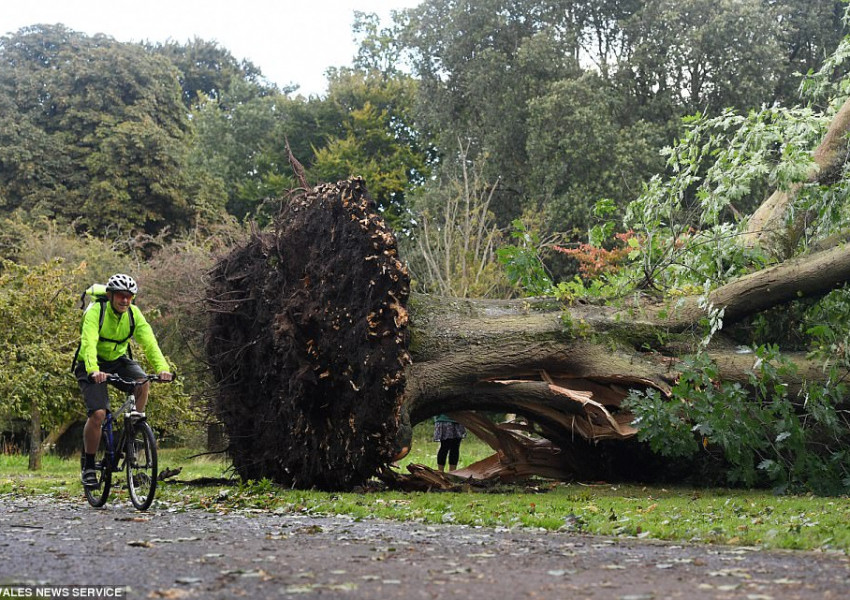 Вижте ужасяващите снимки от бурята Айлийн!