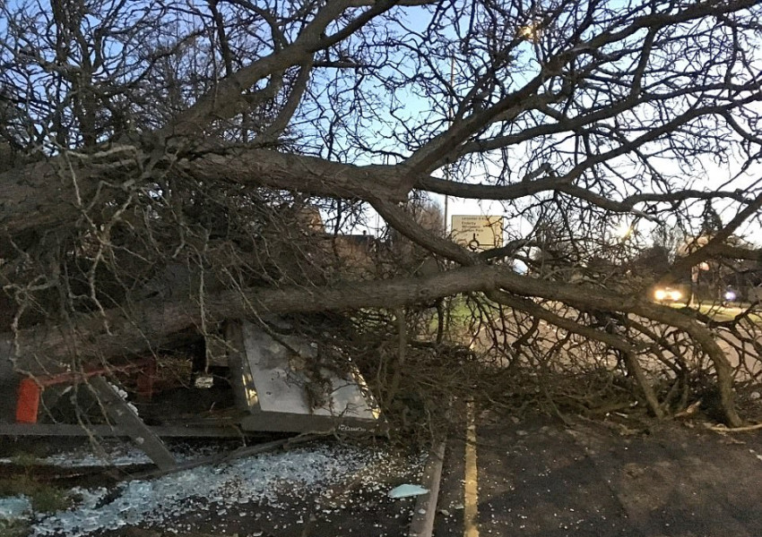 Снежен акокалипсис! Вижте уникалните снимки!