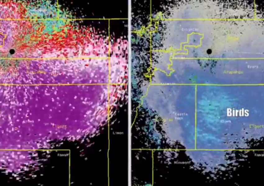 Какво според вас е това?