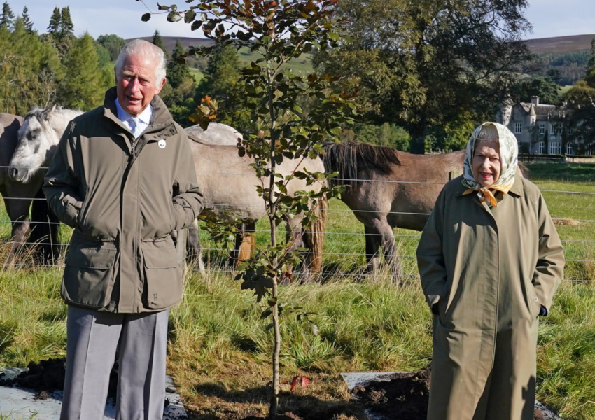 Спомен: 80 000 дървета ще бъдат засадени на Острова в памет на Елизабет Втора