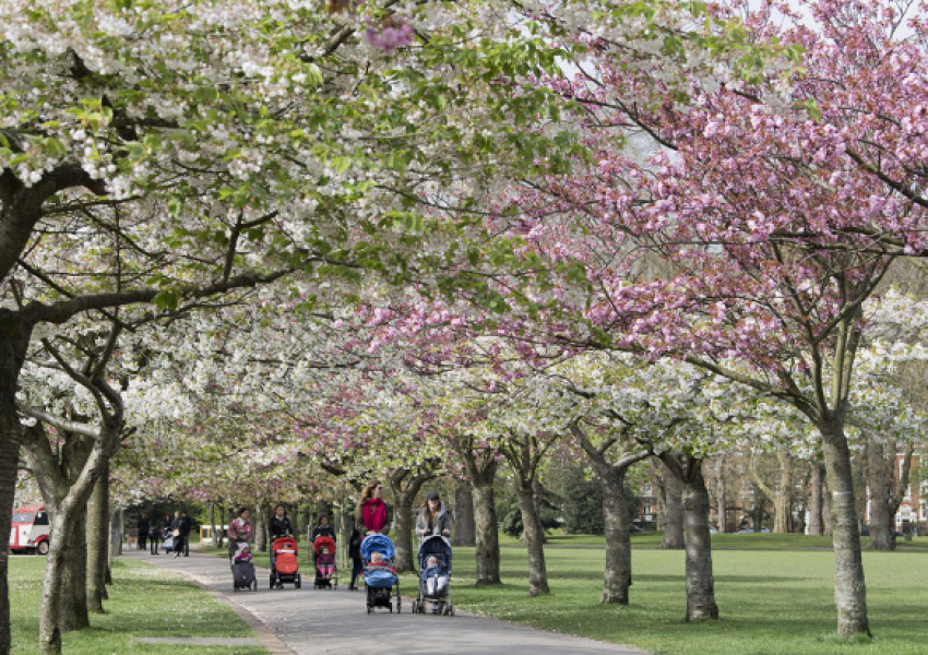 Изгониха тригодишно дете от парк Батерсий заради играчка