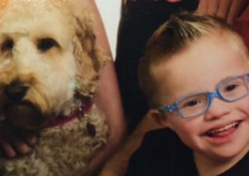 Кучето Теди спаси живота на момчеце в сушилня