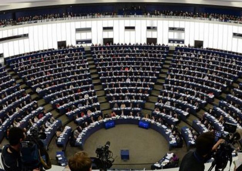 Млади наши имигранти искат да са кандидати за евродепутати