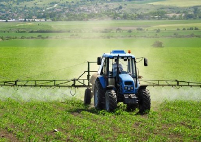 Фермери: Без работници от ЕС? Това ще е катастрофа!