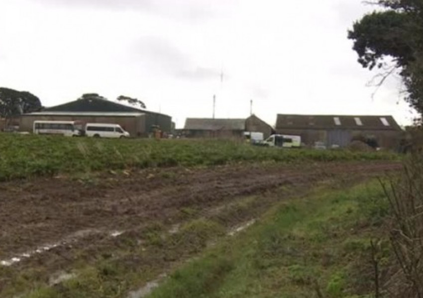 Българи, работели във фермата за цветя: Работихме по 12 часа, беше ад